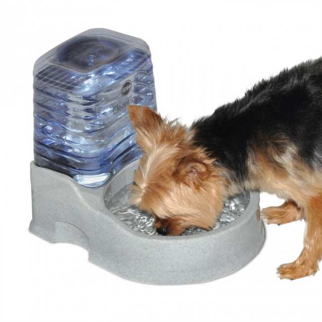 CleanFlow Water Filter Bowl for Dogs Small